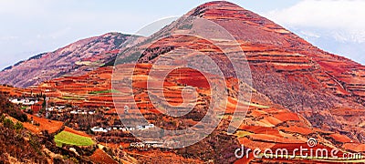 Stunning scenery landscape of wheat terraces and ancient village on the high mountains, â€œRed Landâ€ of Dongchuan, China Stock Photo